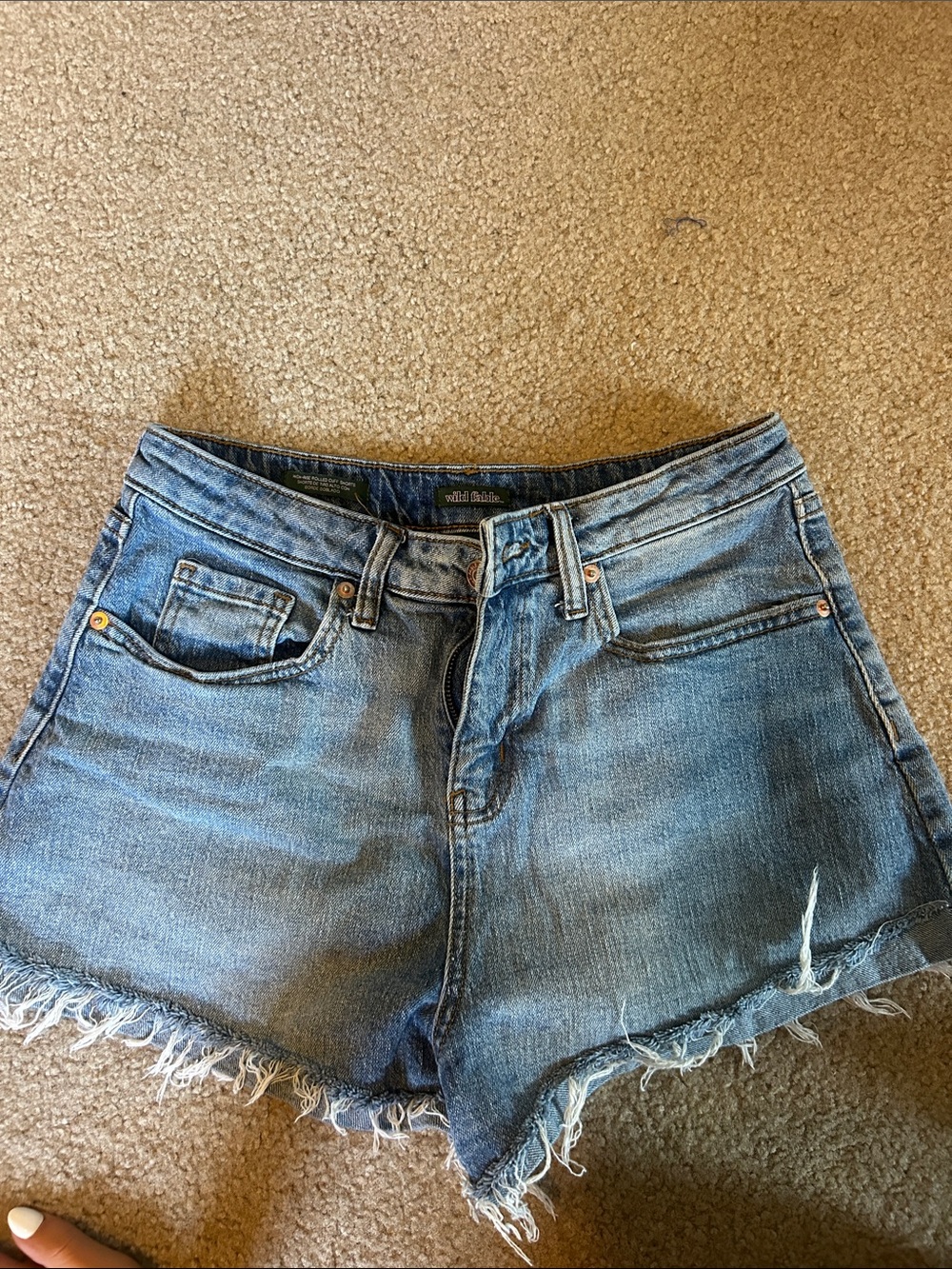 wild fable Blue Frayed Hem Denim Shorts